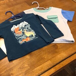 Garanimals Blue and White Long Sleeve Tees for Kids